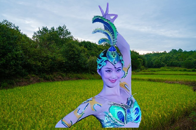杨红据实复述，“实际上，这样的电影，根本没有任何韵味，削弱了大众的审美情趣。