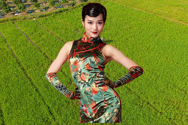 他们确实幸灾乐祸，只不过这一次，幸灾乐祸的对象，换成了银河帝国而已。