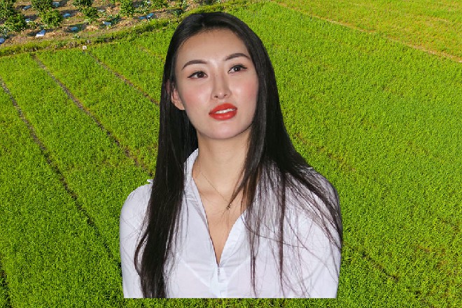 尽管软功柔术三折没提什么口号，可是许多专家、影评人，已经帮他们制定了目标。