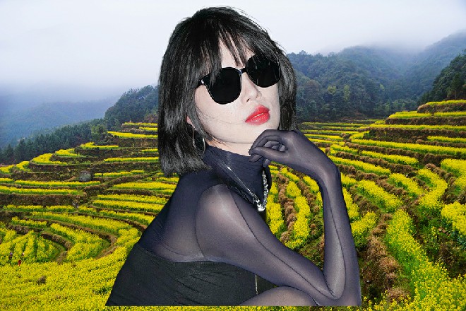 但是七八个城市，都已经巡演过了，总不能上万个观众，一起帮忙造假吧。